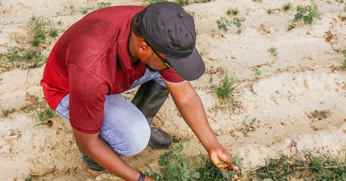 Agronomy & farm services jobs in Melbourne, VIC | ViewJobs